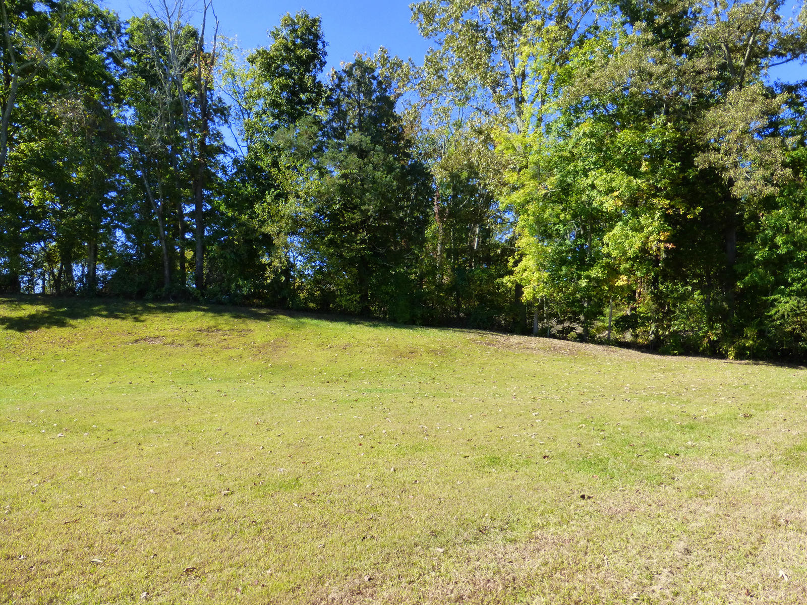 7668 Applecross Road Corryton, TN 37721 - Photo 31 of 34 16-P1010761