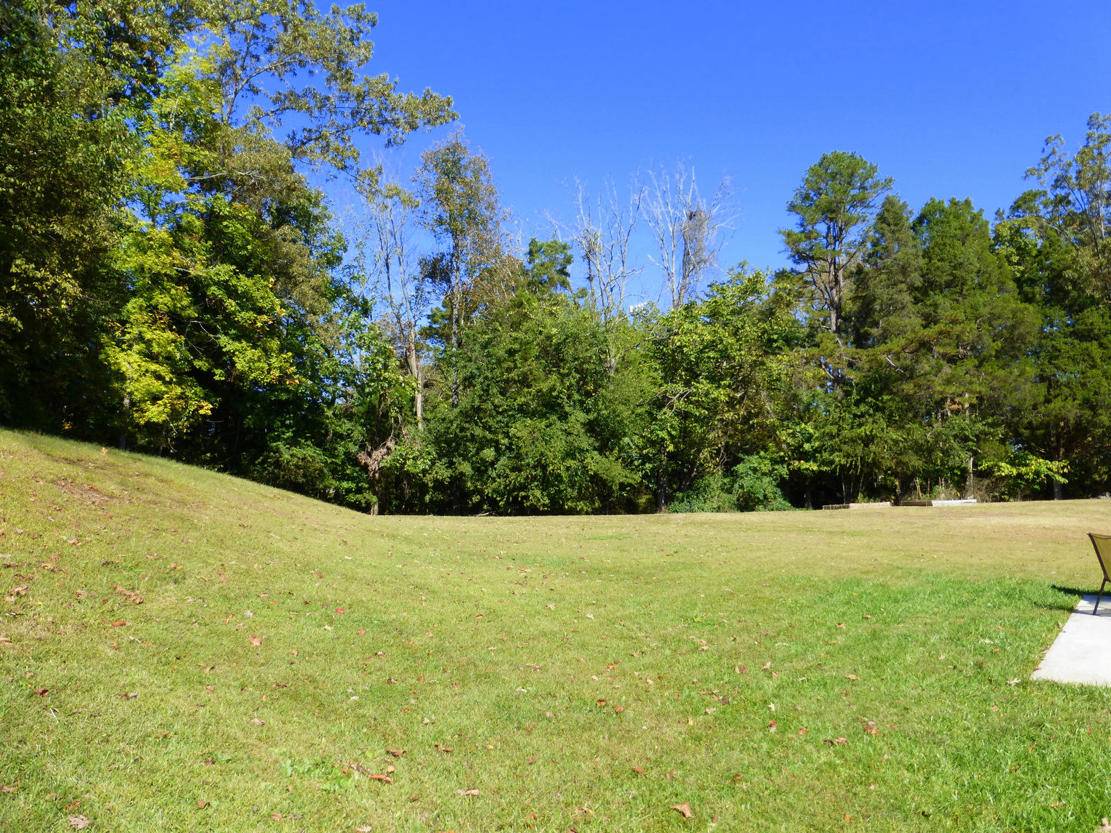 7668 Applecross Road Corryton, TN 37721 - Photo 32 of 34 22-P1010768