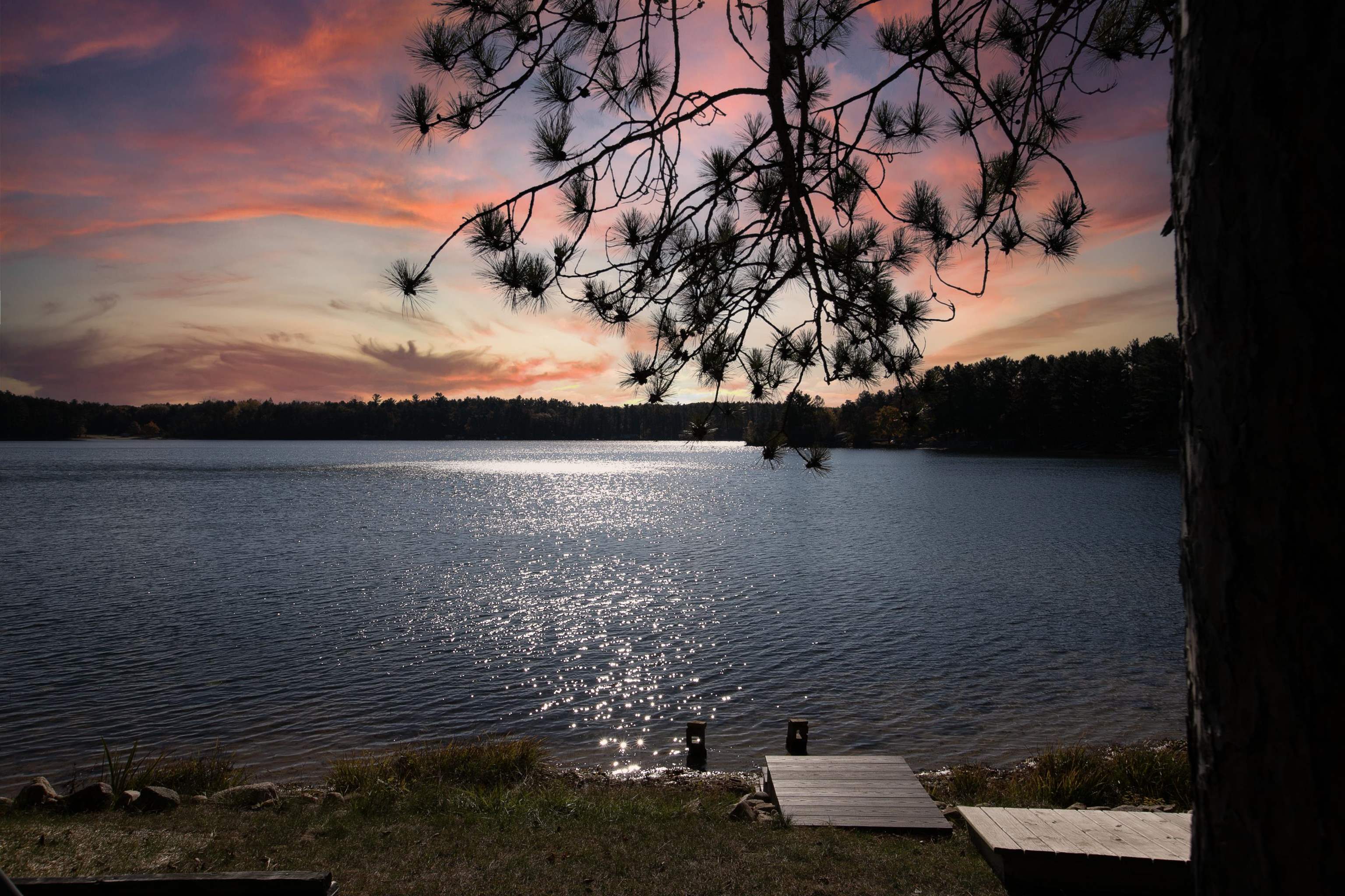 W5613 Aspen Road Wild Rose, WI 54984 - Photo 40 of 40