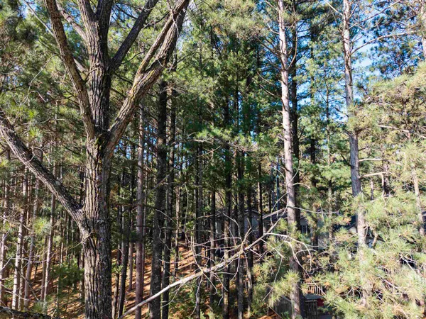 $289,000 | W5613 Aspen Road, Wild Rose, WI 54984