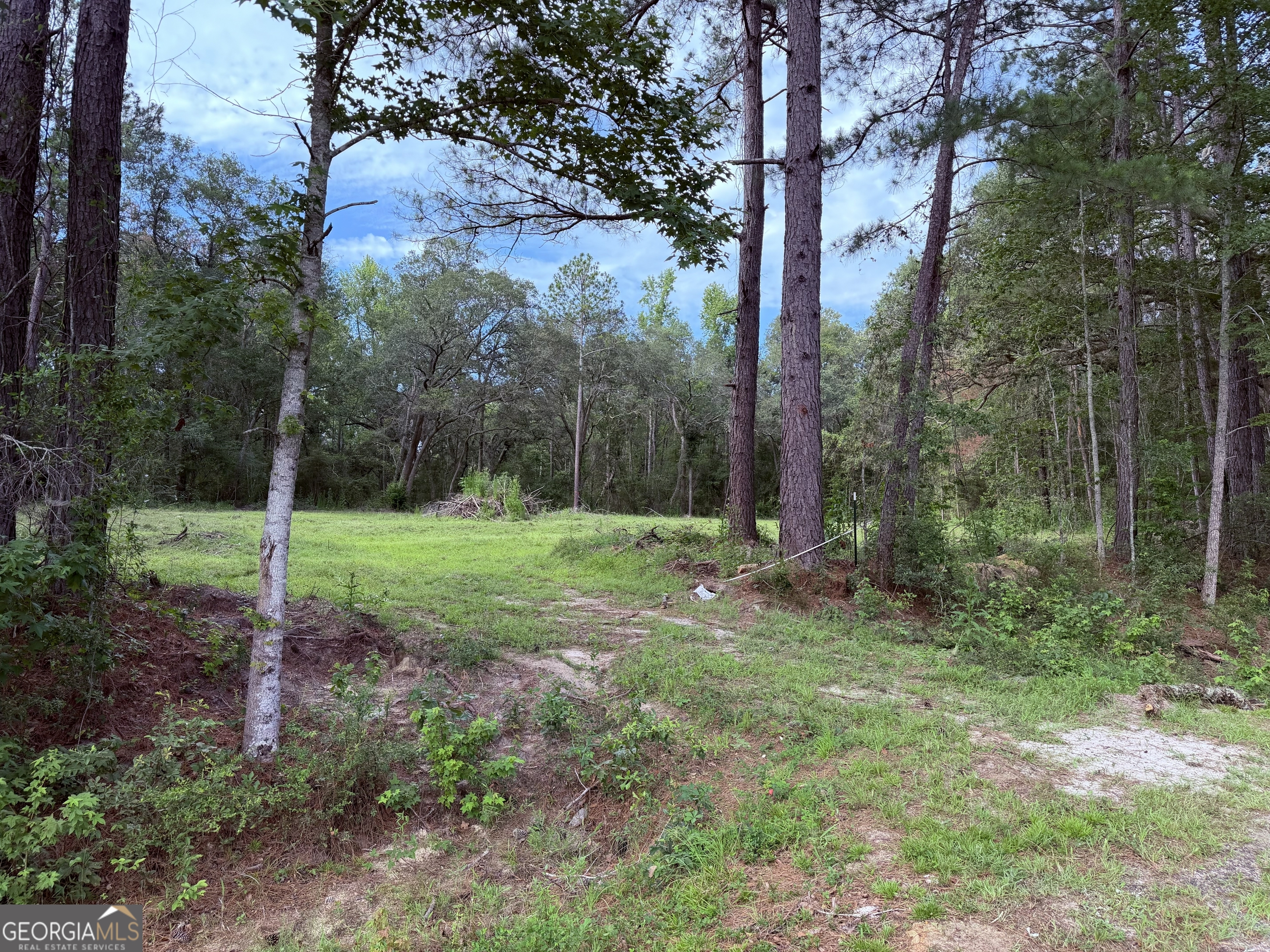 3980 Mosley Road Claxton, GA 30417 - Photo 5 of 10