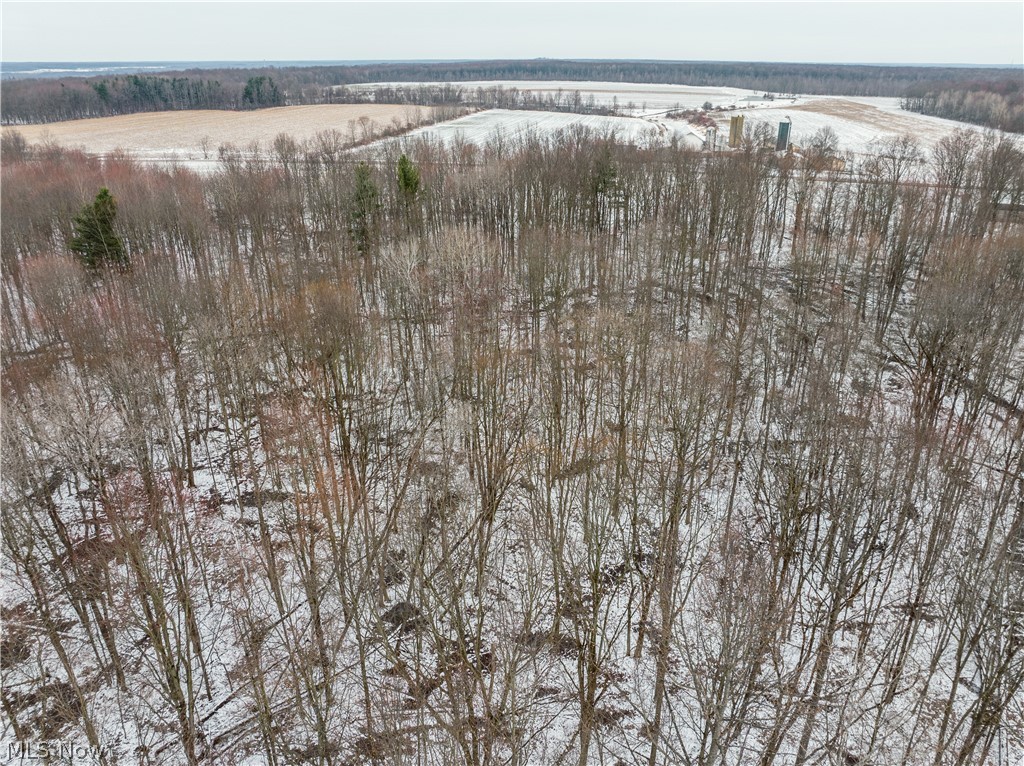 Slater Road Williamsfield, OH 44093 - Photo 6 of 14
