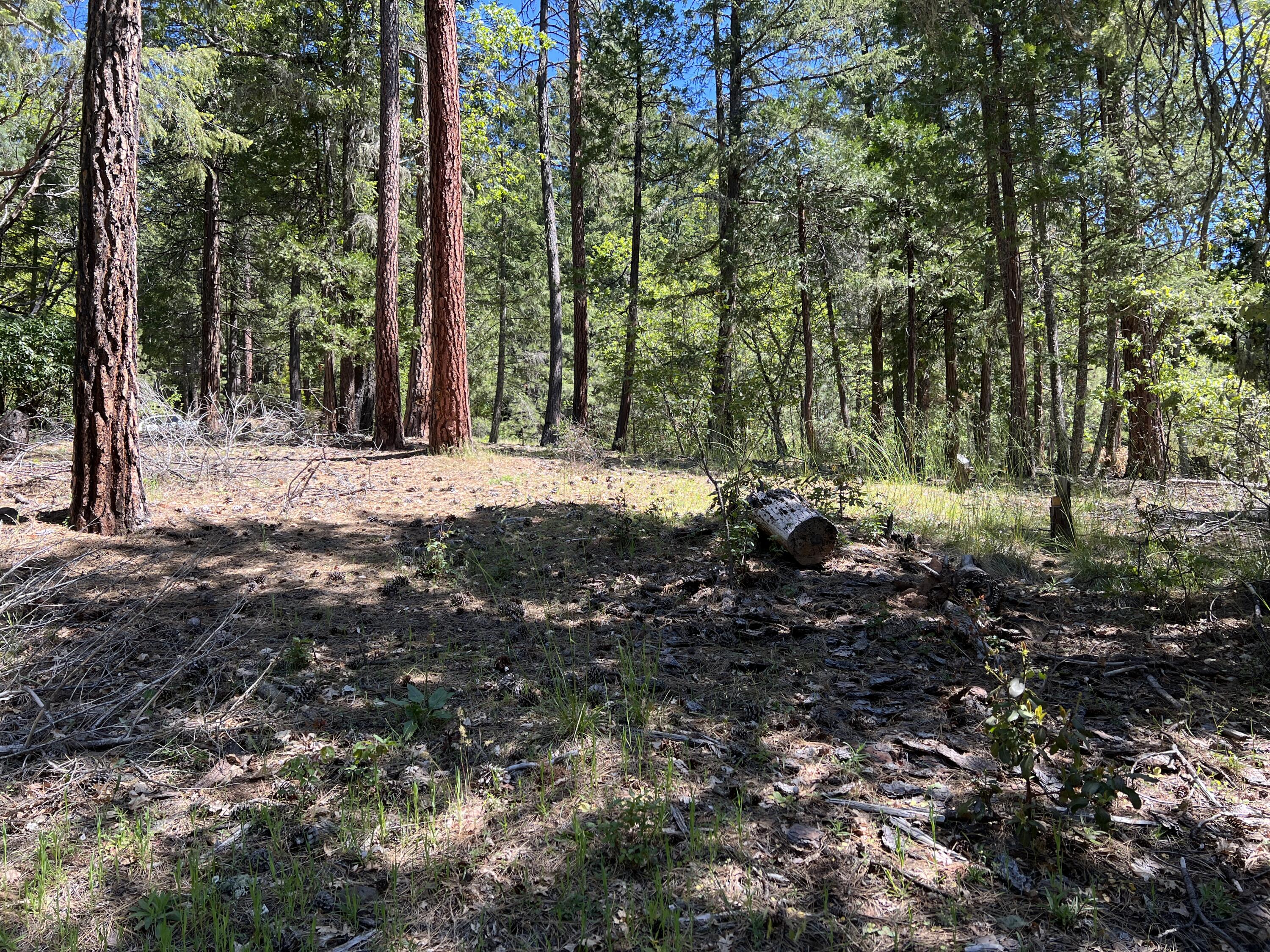 348 Flounce Rock Road Prospect, OR 97536 - Photo 11 of 12 IMG_2297