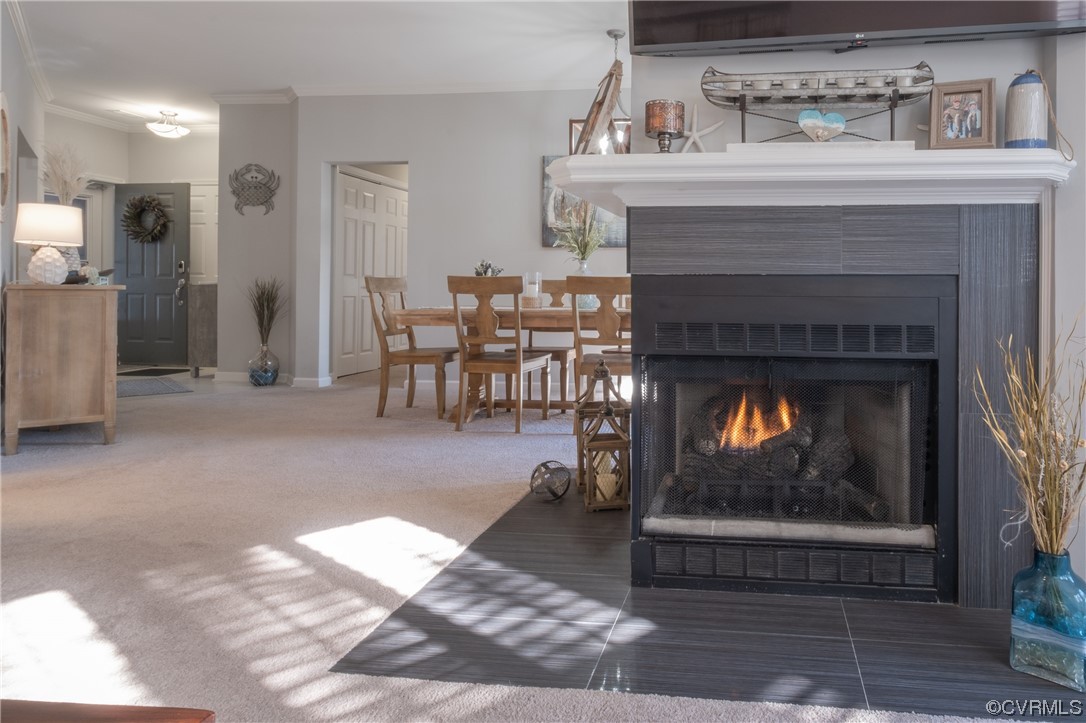 1003 High Dunes Quay, Unit 101 Hampton, VA 23664 - Photo 13 of 42 a living room with furniture and a fireplace