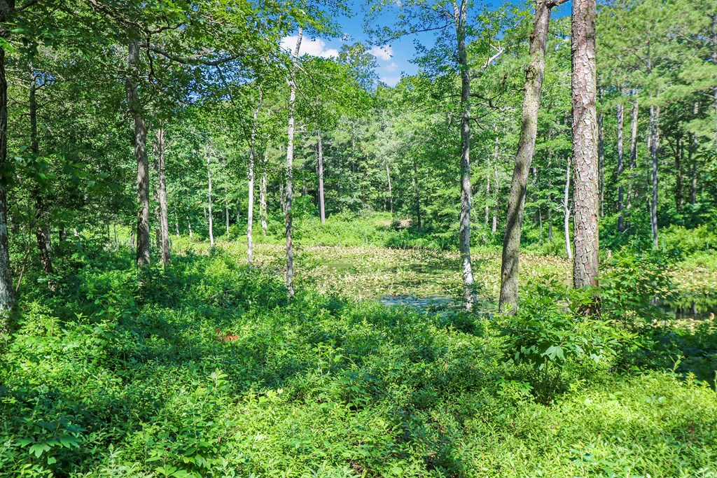 Lot 6 Fleming Road, Unit 6 Horntown, VA 23395 - Photo 17 of 26