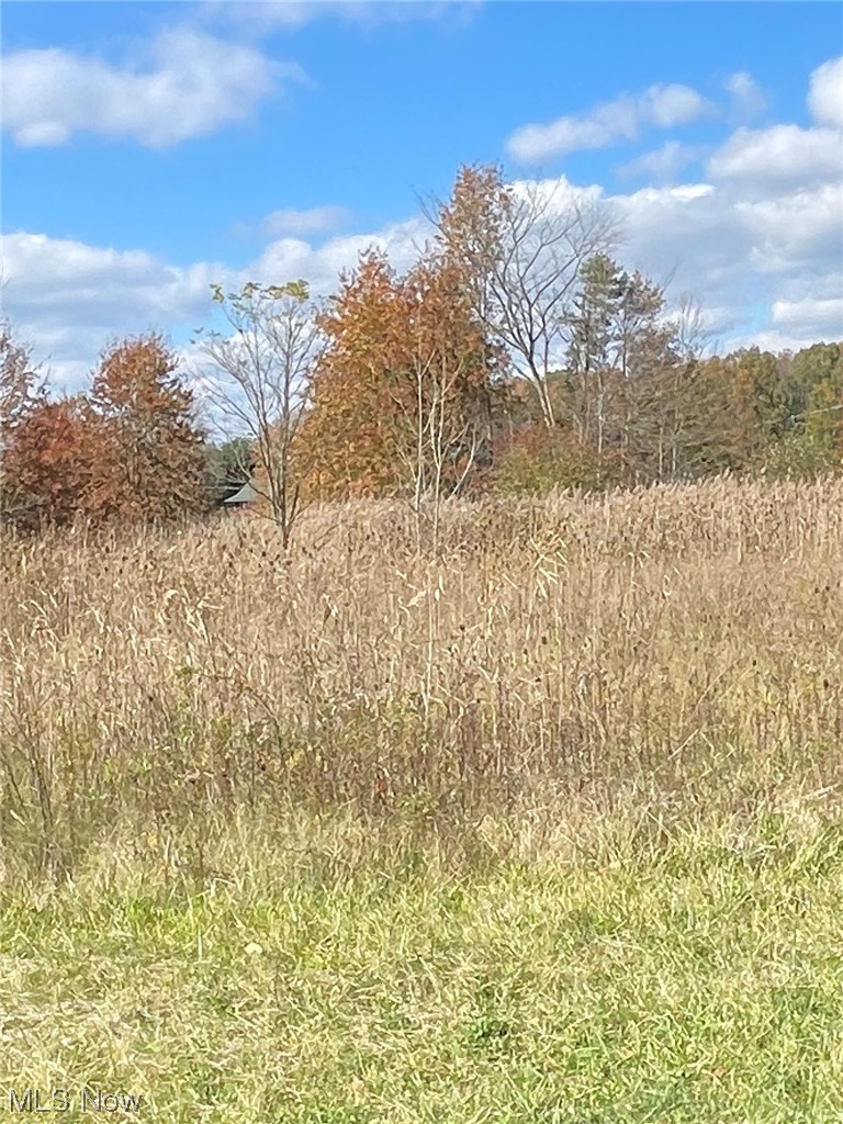 9999 Palmyra Road Warren, OH 44481 - Photo 4 of 4 View of land
