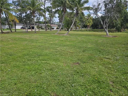 a view of a green field