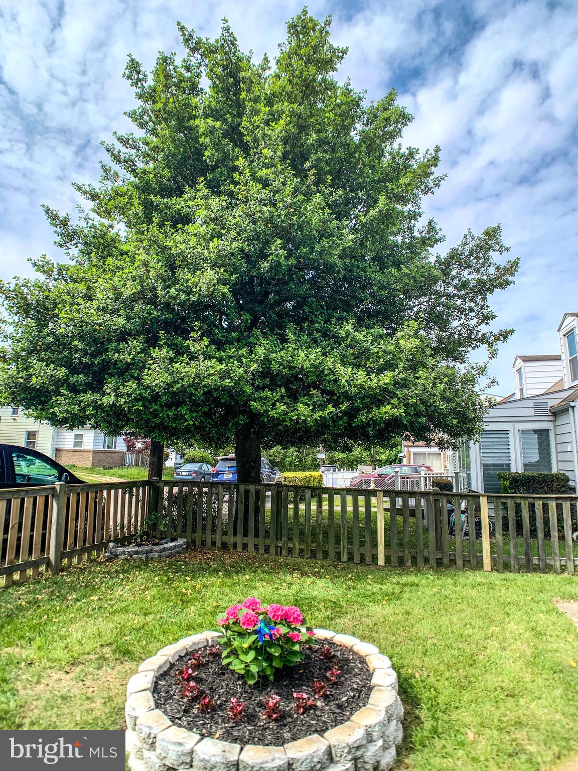 1908 Van Buren Road Baltimore, MD 21222 - Photo 3 of 28 Front Yard