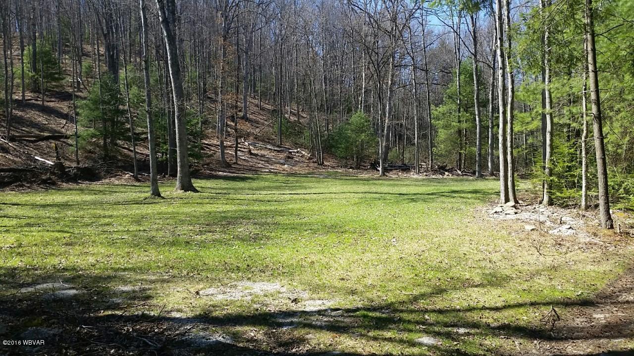 1464 Mill Branch Road Mill Hall, PA 17751 - Photo 15 of 28 foodplot1