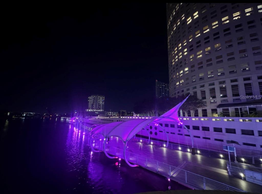 3320 West Leroy Street Tampa, FL 33607 - Photo 11 of 24