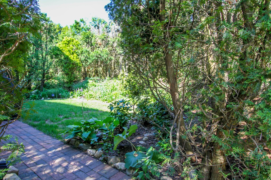 41 Leland Farm Road, Unit 41 Ashland, MA 01721 - Photo 2 of 9 a view of a garden with plants and large trees