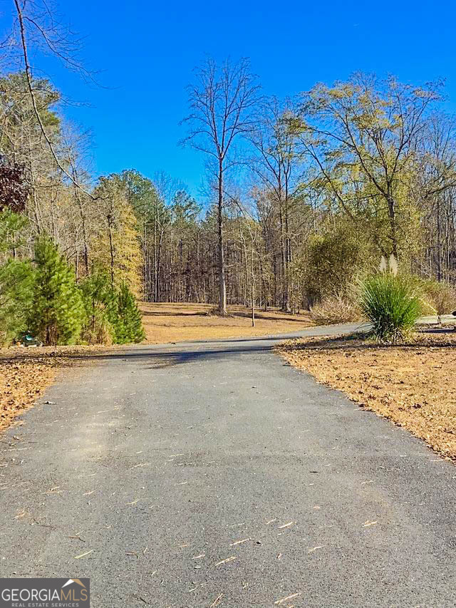 262 Nelms Road Fayetteville, GA 30215 - Photo 3 of 8 a view of a yard with a house