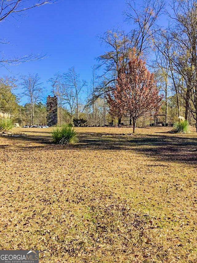 262 Nelms Road Fayetteville, GA 30215 - Photo 4 of 8 a view of a yard with large trees