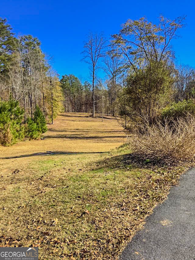 262 Nelms Road Fayetteville, GA 30215 - Photo 6 of 8 a view of a yard with large trees