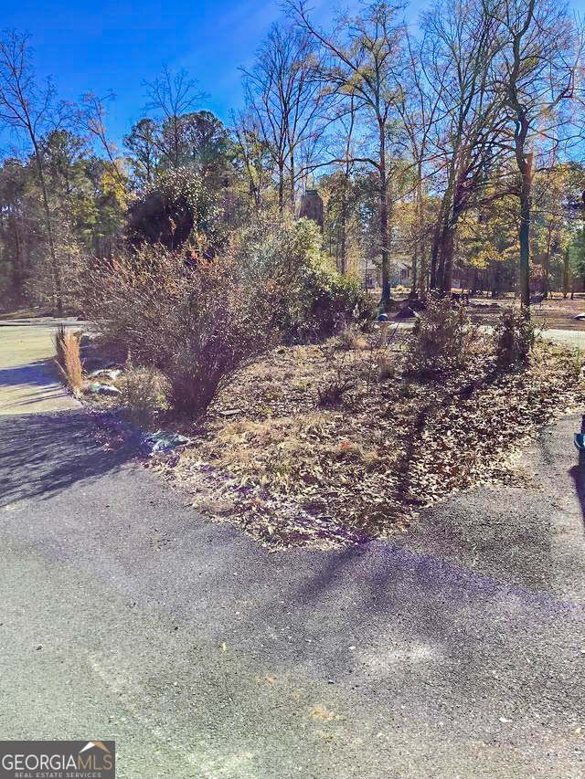 262 Nelms Road Fayetteville, GA 30215 - Photo 8 of 8 a view of a yard with trees