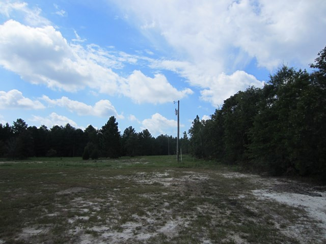 962 Kedron Church Road Aiken, SC 29805 - Photo 24 of 32