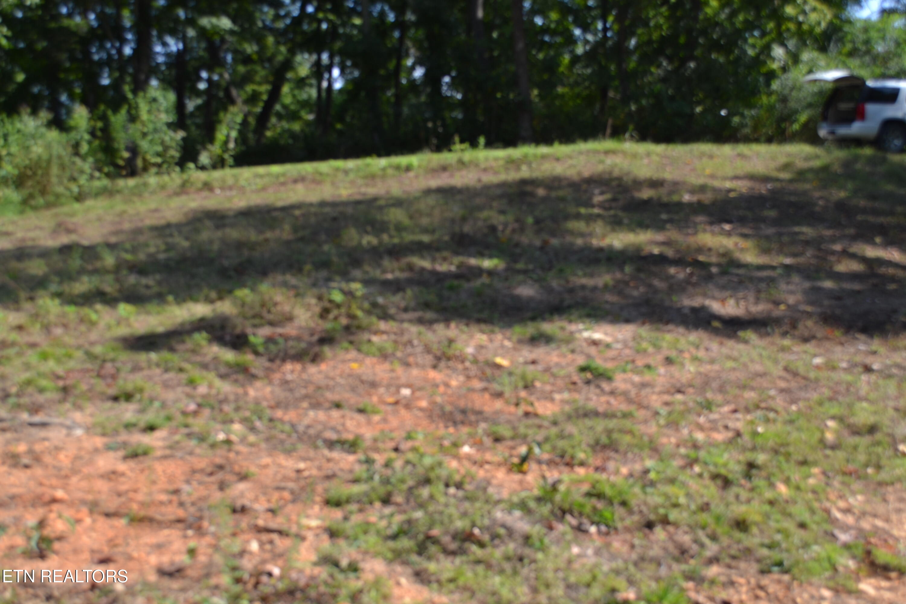 2376 Pea Ridge Fire Tower Road Celina, TN 38551 - Photo 13 of 23 DSC_0016