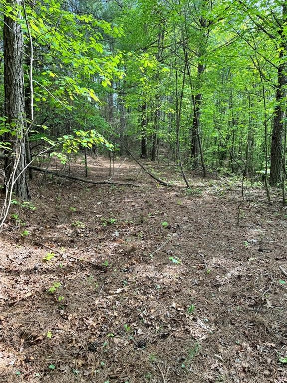 2 Shyers Ford Road Talking Rock, GA 30175 - Photo 10 of 22 Gallery Image 10