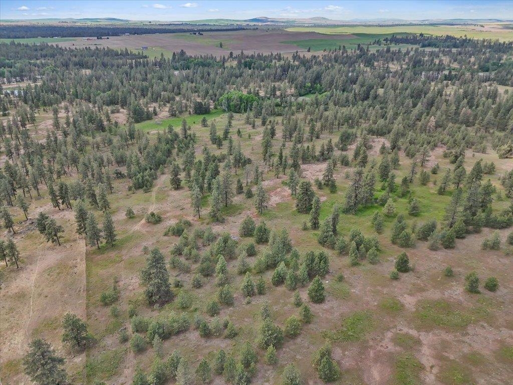 Nka South Malloy Prairie Road, Unit PARCEL B 03032 9049 Cheney, WA 99004 - Photo 2 of 8