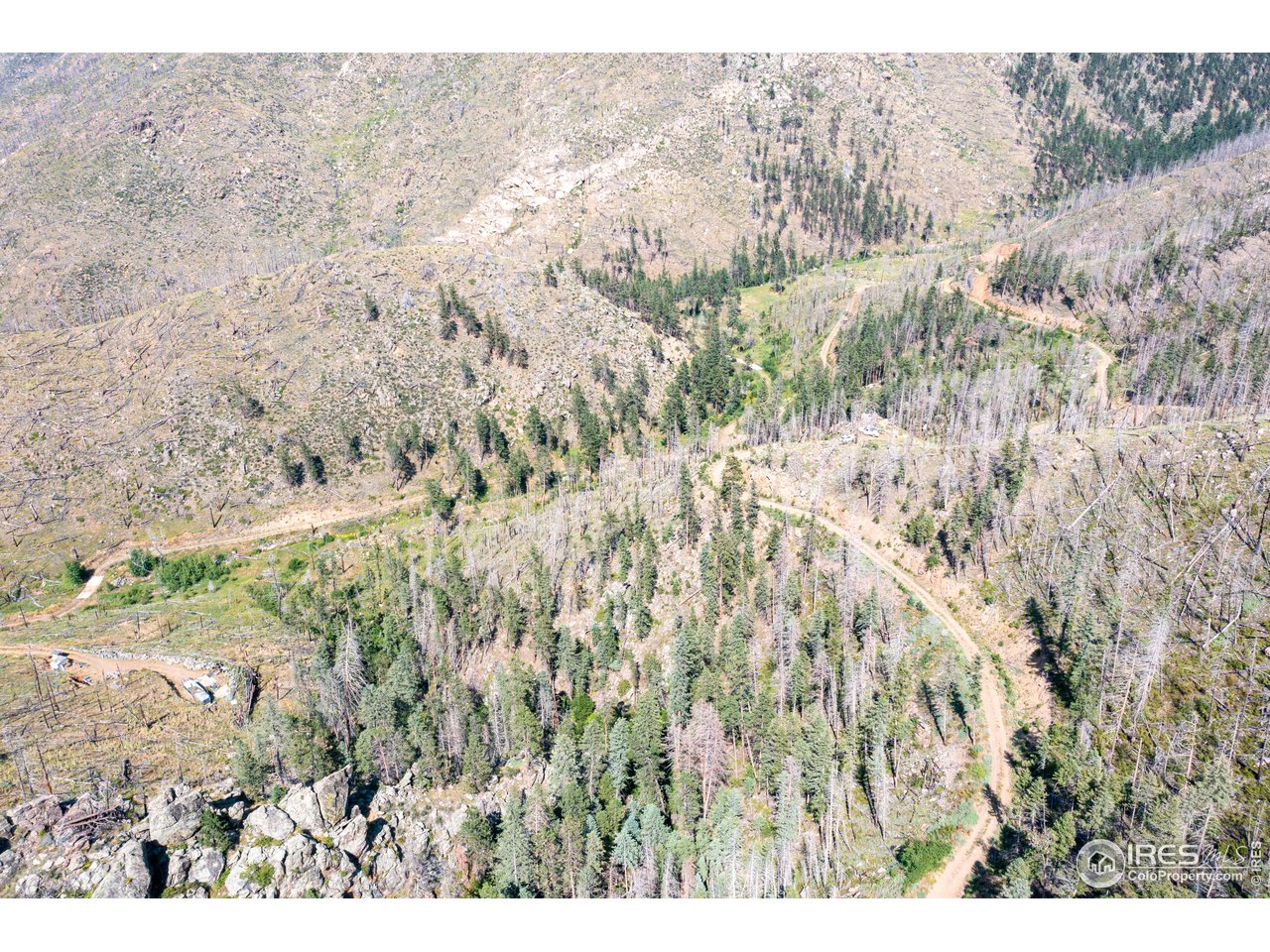 0 Stratton Park Road Bellvue, CO 80512 - Photo 3 of 13 a view of a dry yard