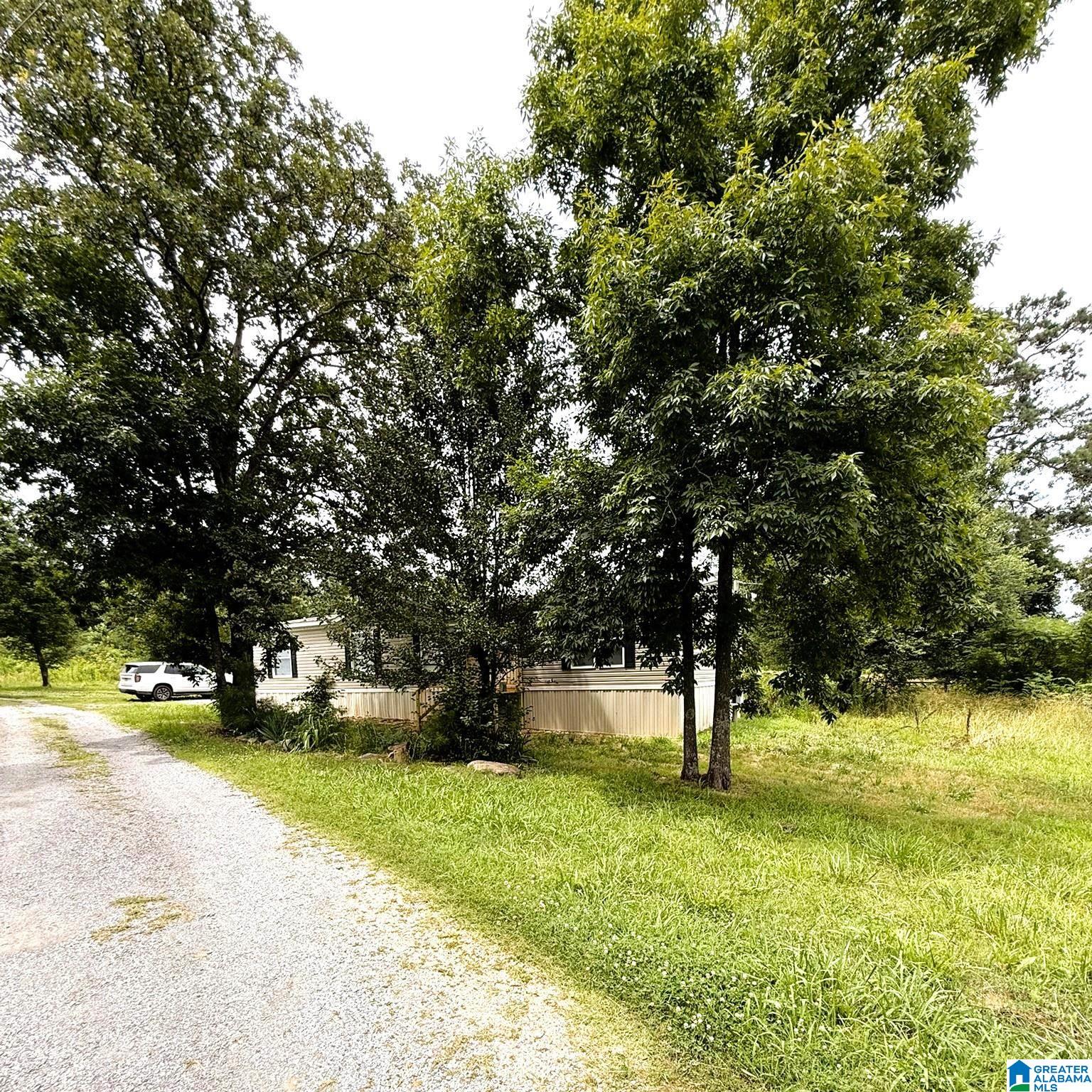945 Church Road Fyffe, AL 35971 - Photo 15 of 16
