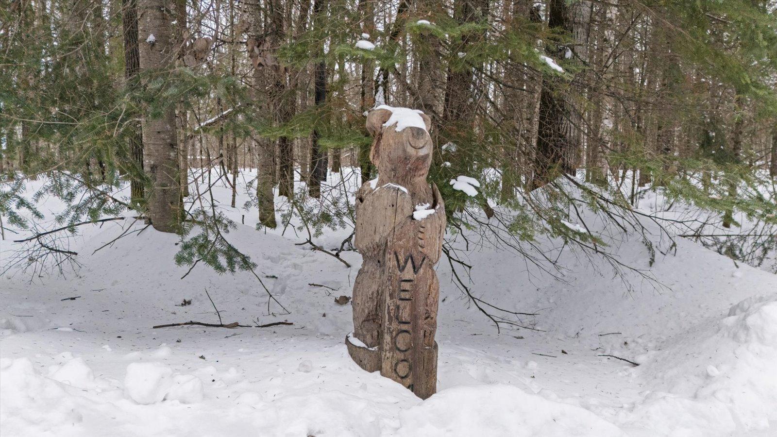 7582 Green Rock Road Side Lake, MN 55781 - Photo 90 of 93