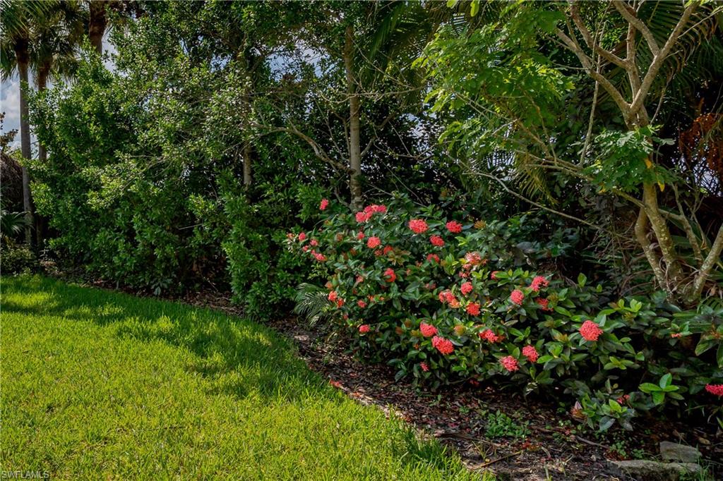 13499 Snook Circle Naples, FL 34114 - Photo 22 of 39 a view of a flower in a garden