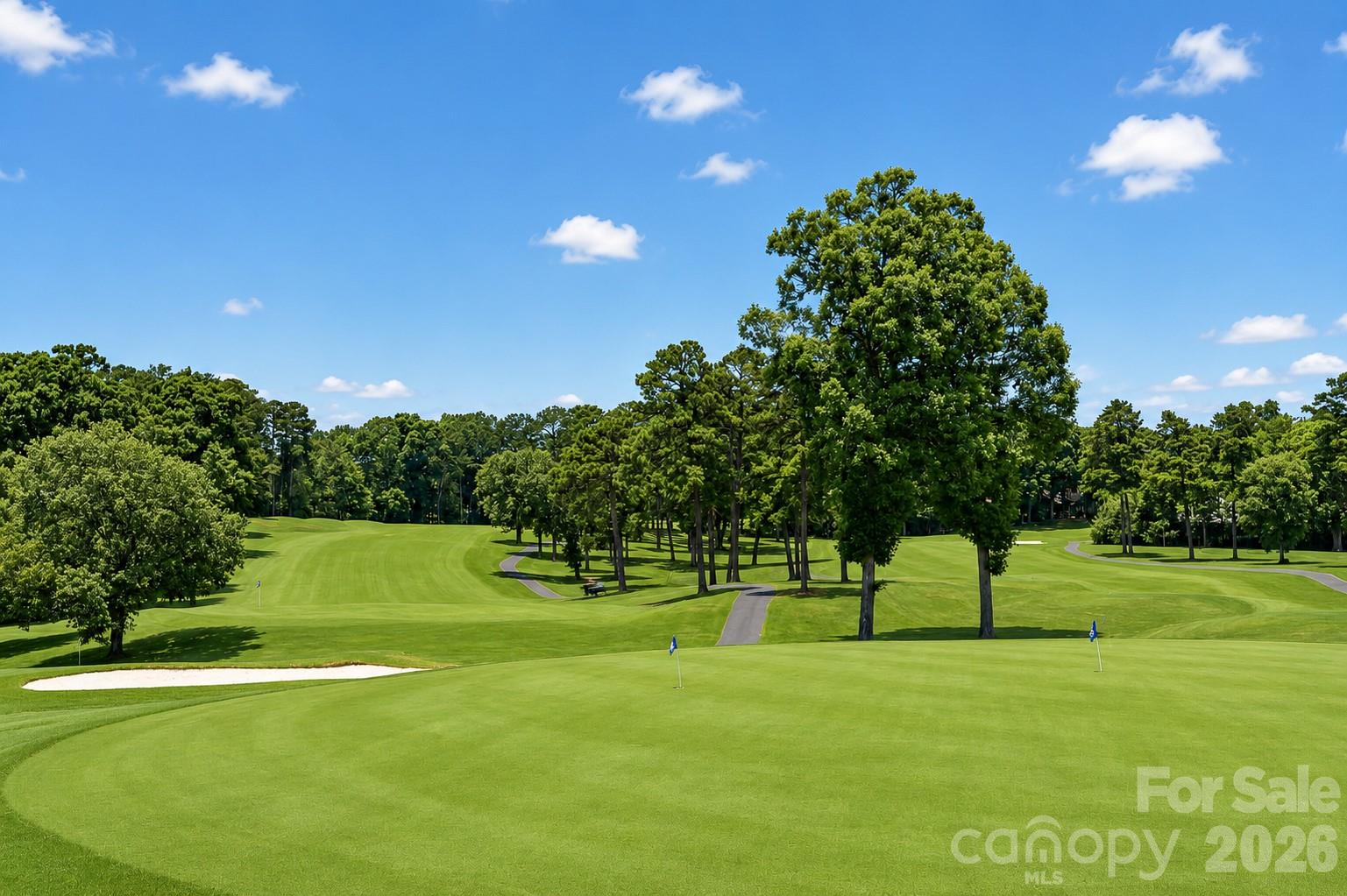 185 Riverview Terrace Clover, SC 29710 - Photo 30 of 35 a view of a golf course