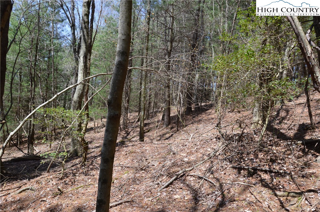 0 Bullhead Road Sparta, NC 28675 - Photo 9 of 15 Gallery Image 9