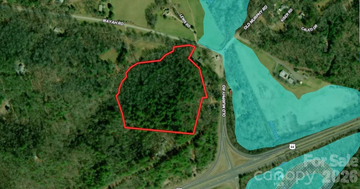 0 Wayah Road Franklin, NC 28734 - Photo 2 of 2