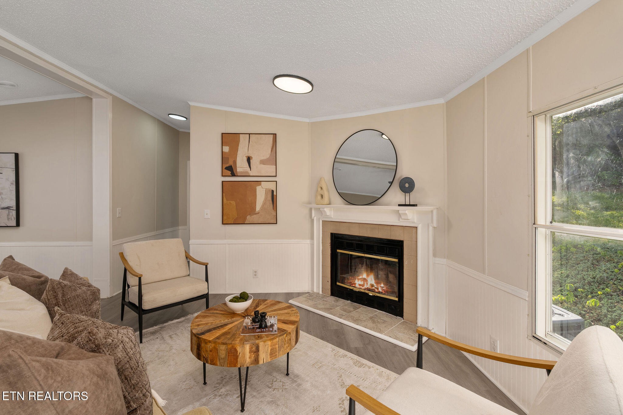 3315 Chuckey Highway Limestone, TN 37681 - Photo 11 of 40 a living room with furniture a window and a fireplace