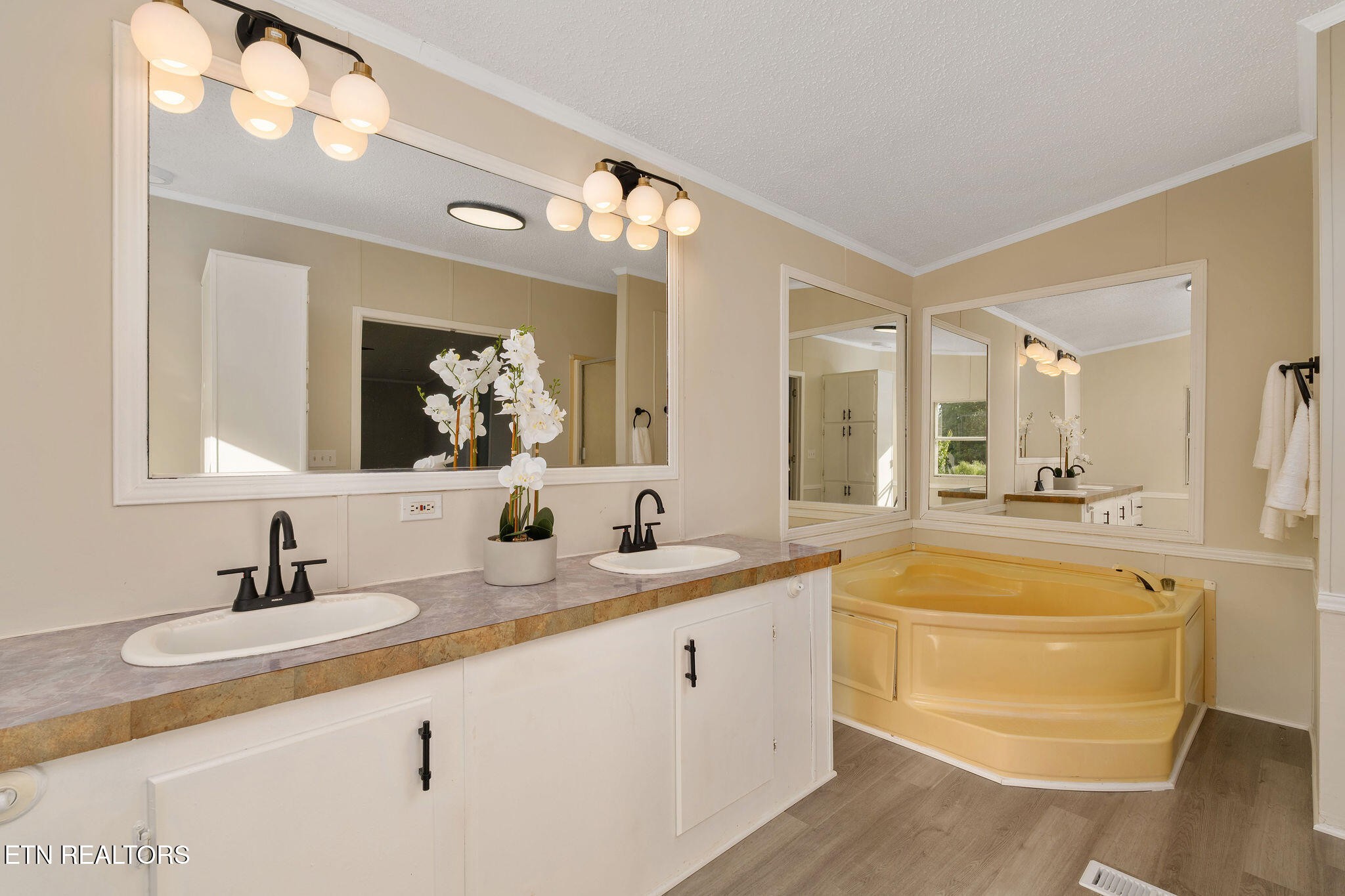3315 Chuckey Highway Limestone, TN 37681 - Photo 30 of 40 a bathroom with a sink a large mirror and a bathtub