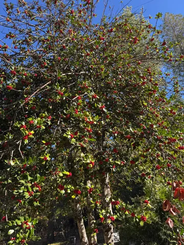 a view of electric plant