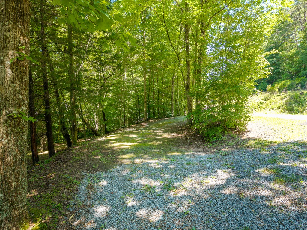 1643 Lucius Road Cherry Log, GA 30522 - Photo 38 of 45