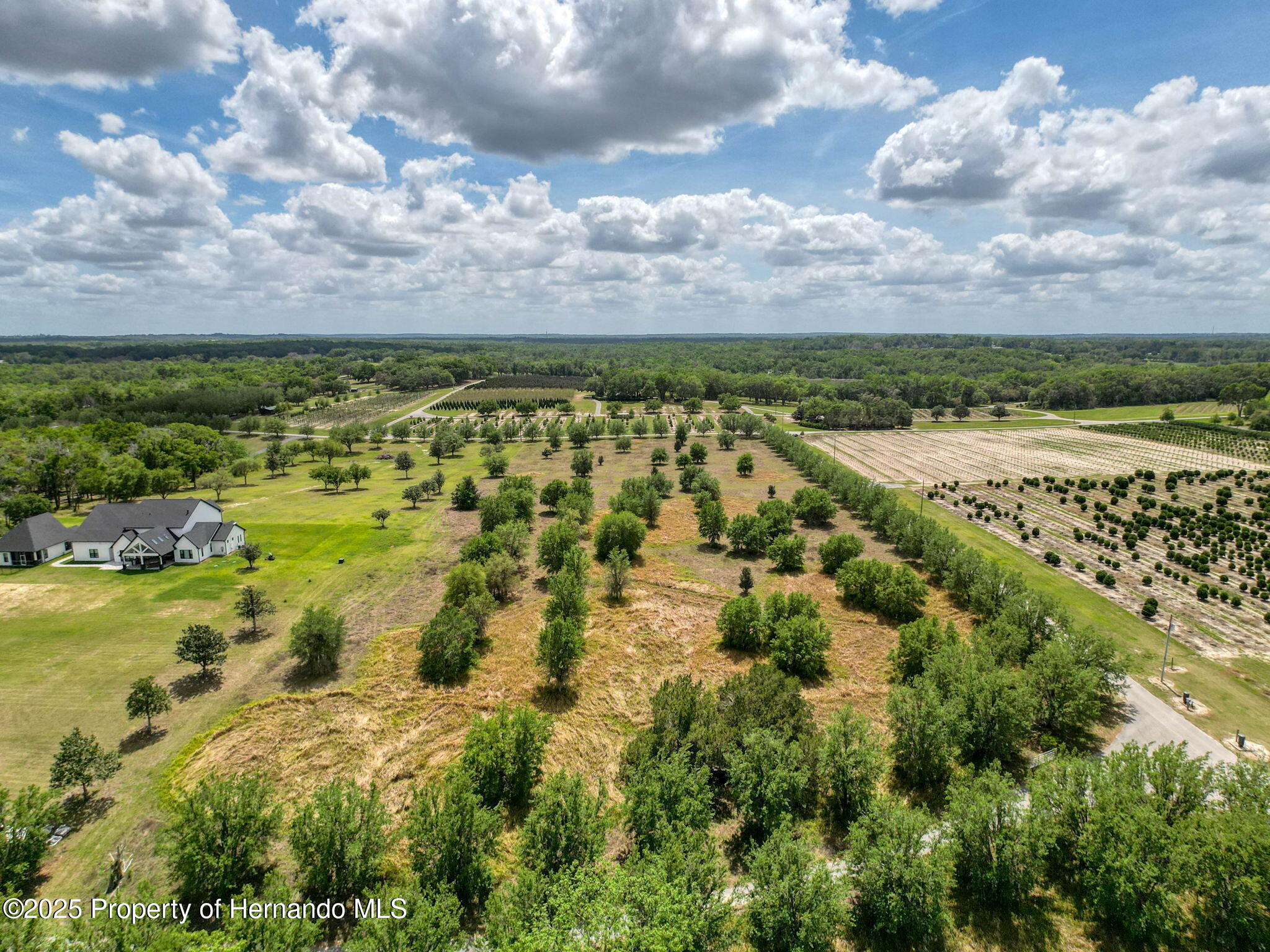 0 Hidden Meadows Road Brooksville, FL 34601 - Photo 16 of 22