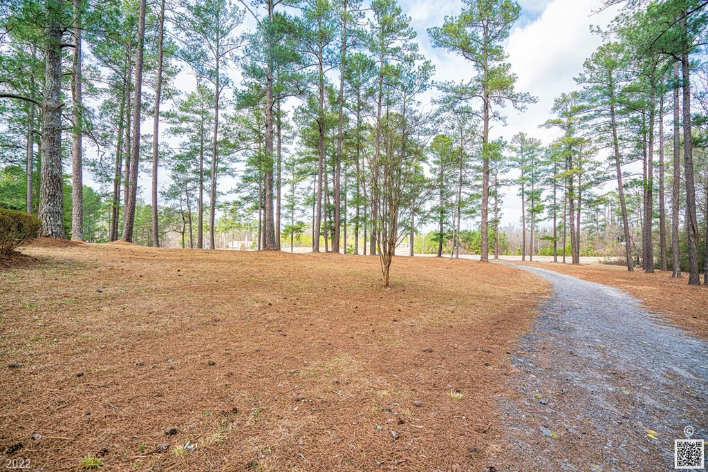 4564 Windsor Spring Road Hephzibah, GA 30815 - Photo 20 of 24