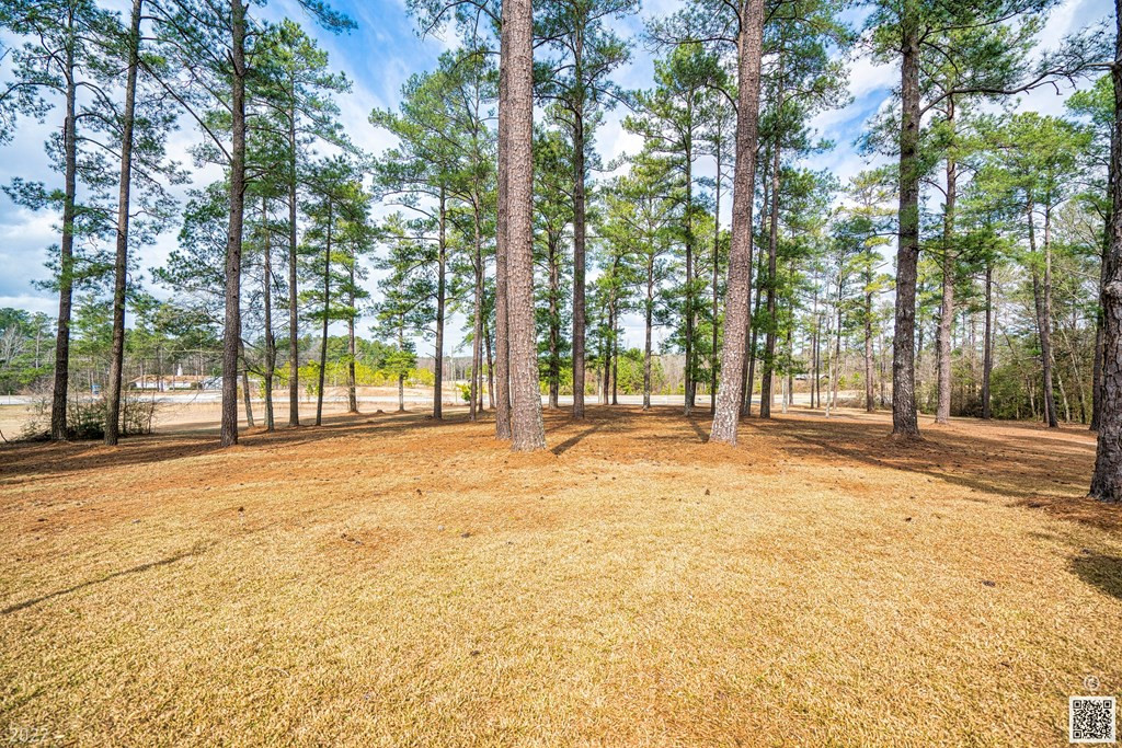 4564 Windsor Spring Road Hephzibah, GA 30815 - Photo 21 of 24