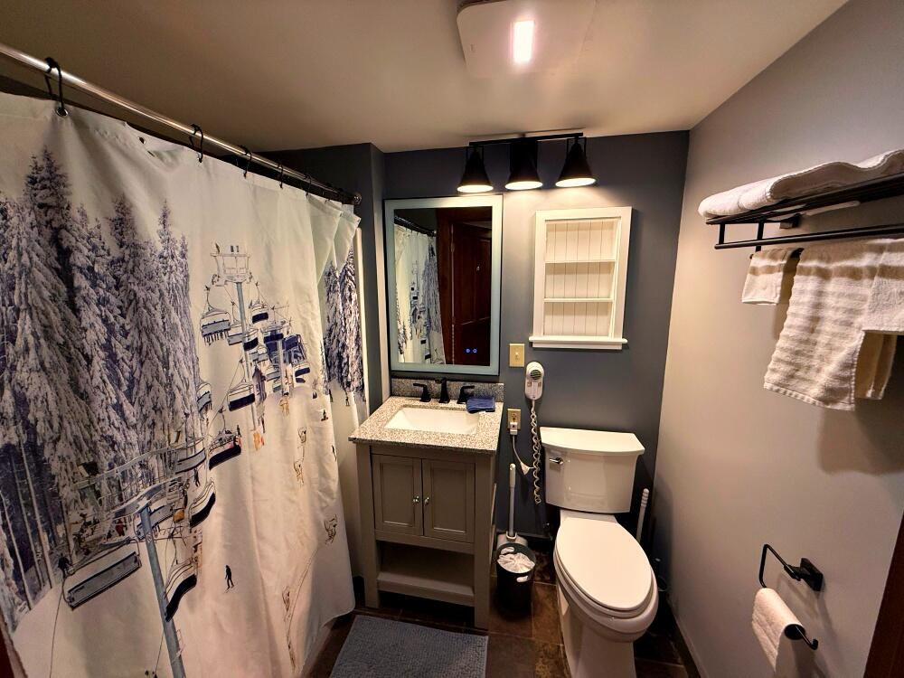 217 Rimfire Snowshoe, WV 26209 - Photo 15 of 18 bathroom #1