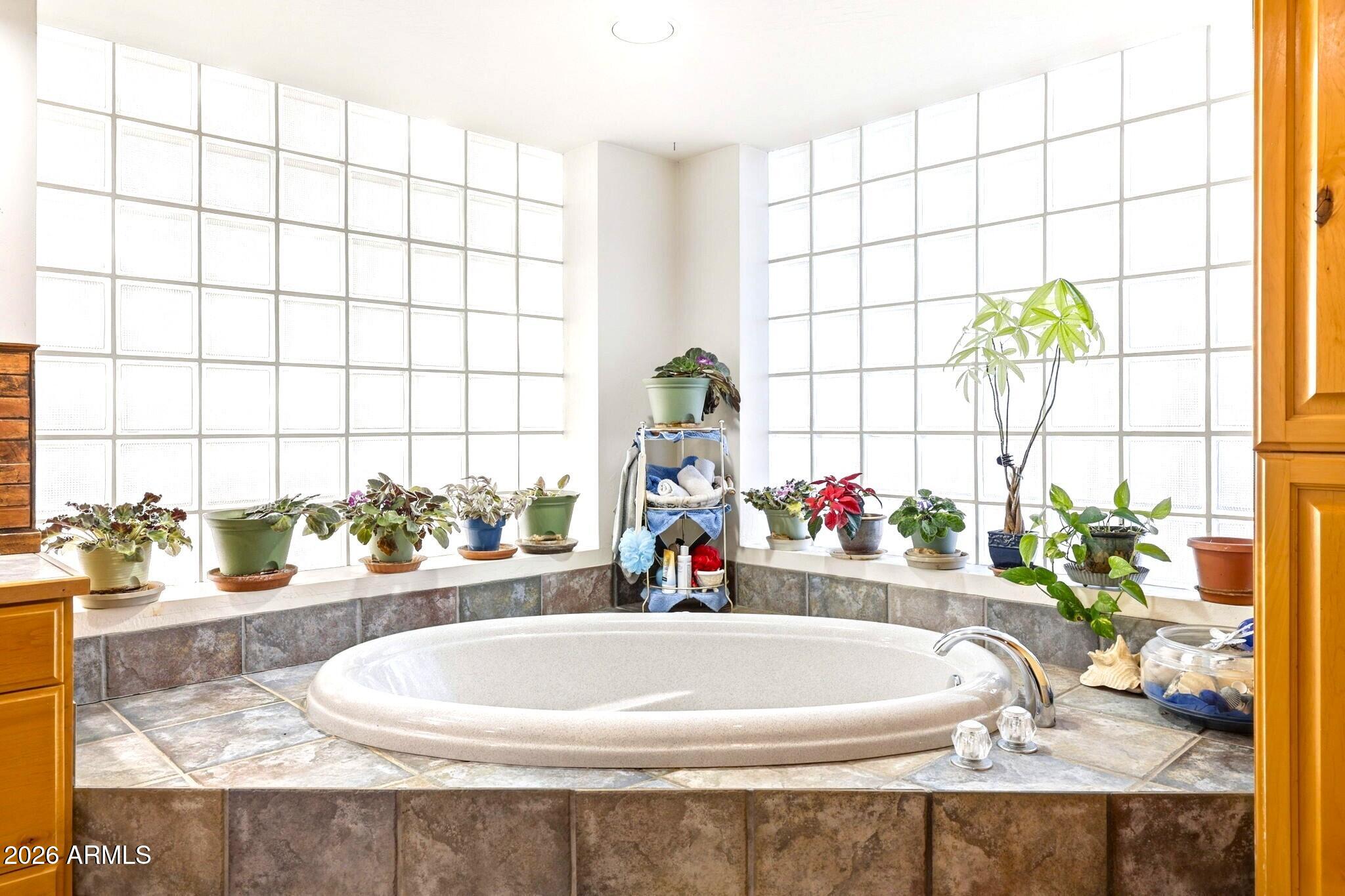 133 South Mule Track Road Young, AZ 85554 - Photo 23 of 65 19 Master Bath Garden Tub