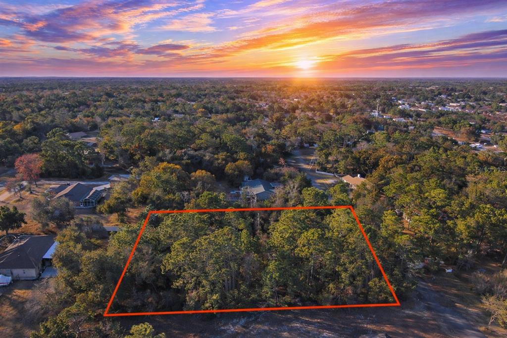 13122 Angler Street Spring Hill, FL 34609 - Photo 2 of 2