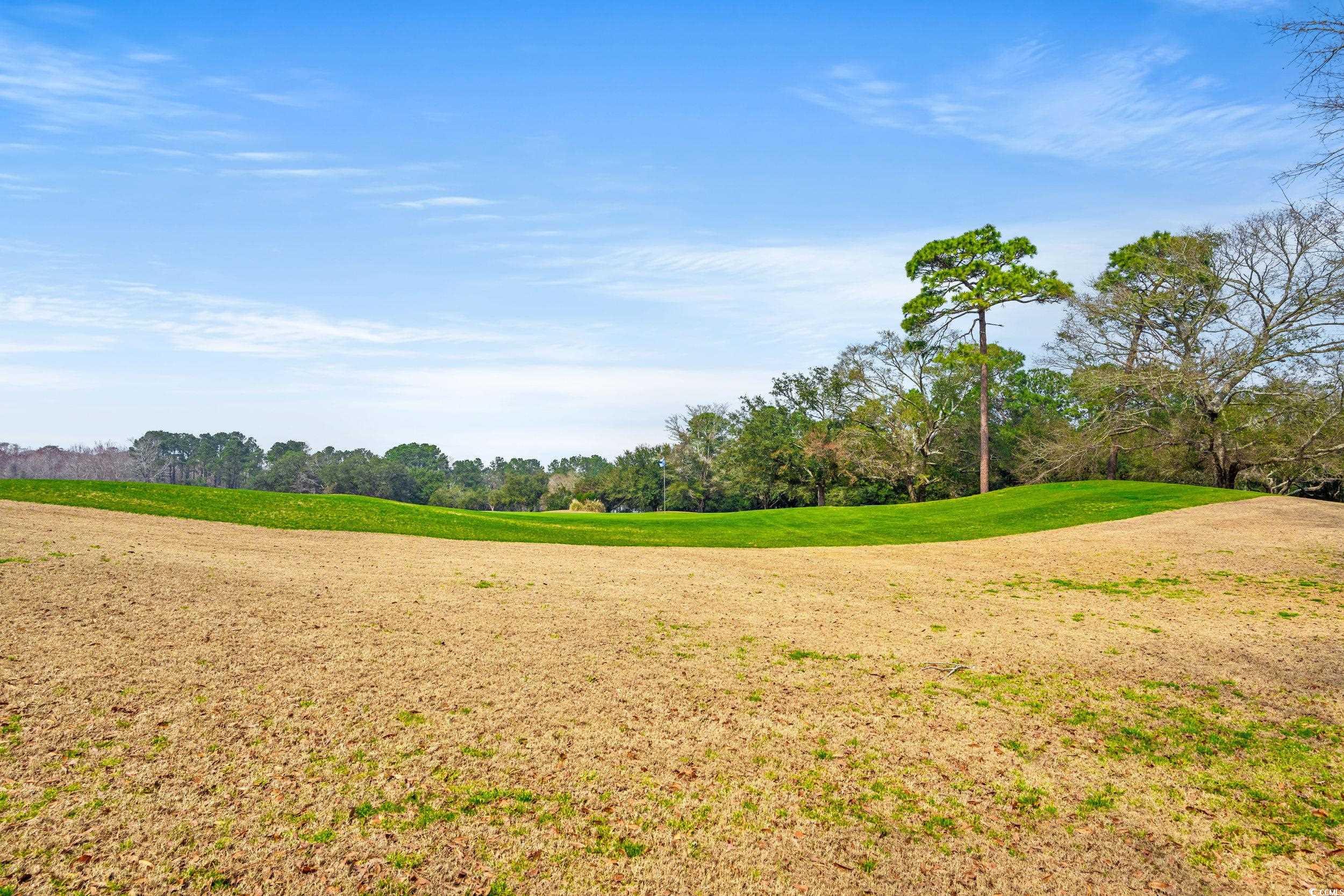 30 Baldwin Loop Pawleys Island, SC 29585 - Photo 21 of 39 Exterior space