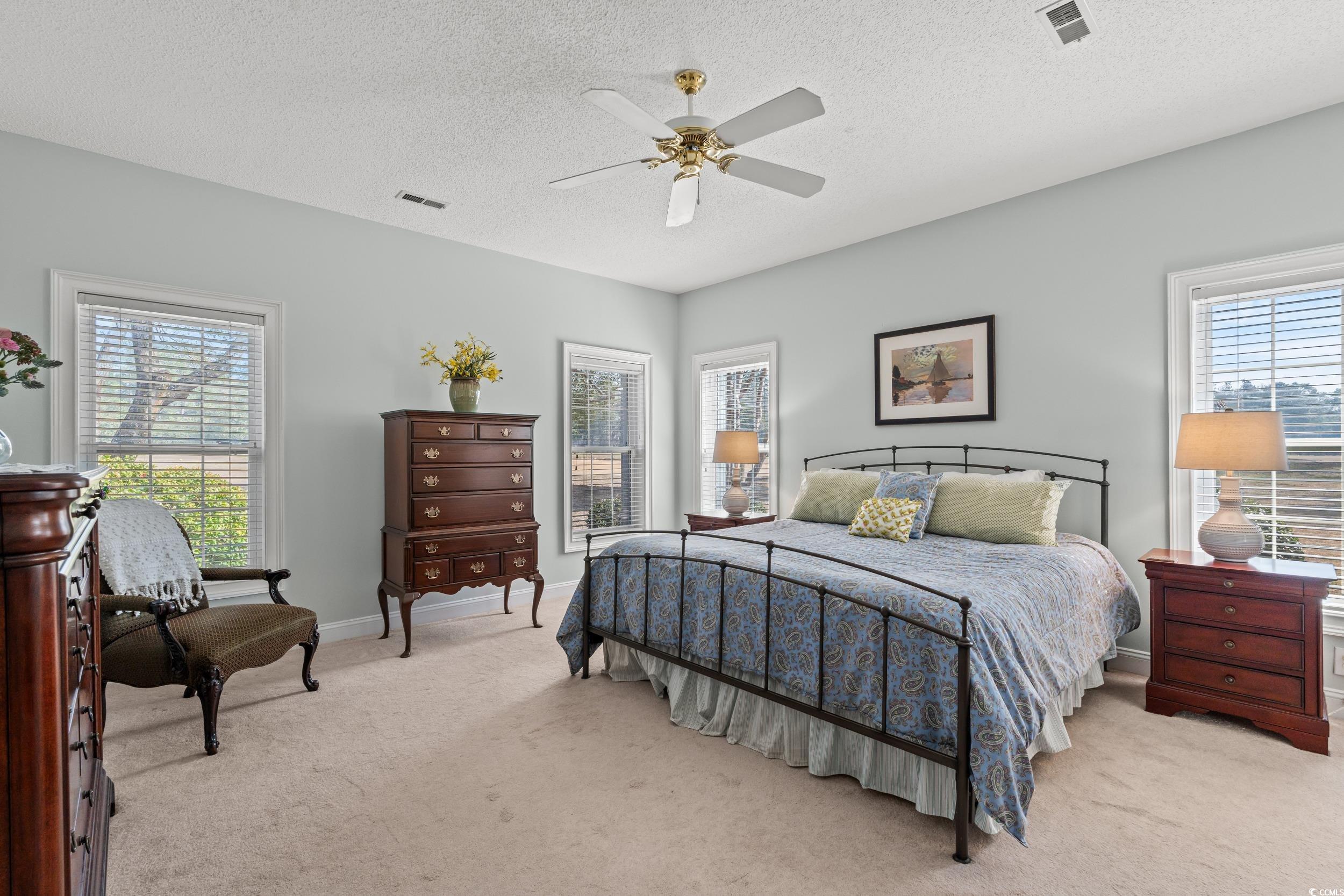 30 Baldwin Loop Pawleys Island, SC 29585 - Photo 22 of 39 Bedroom with light colored carpet, visible vents,