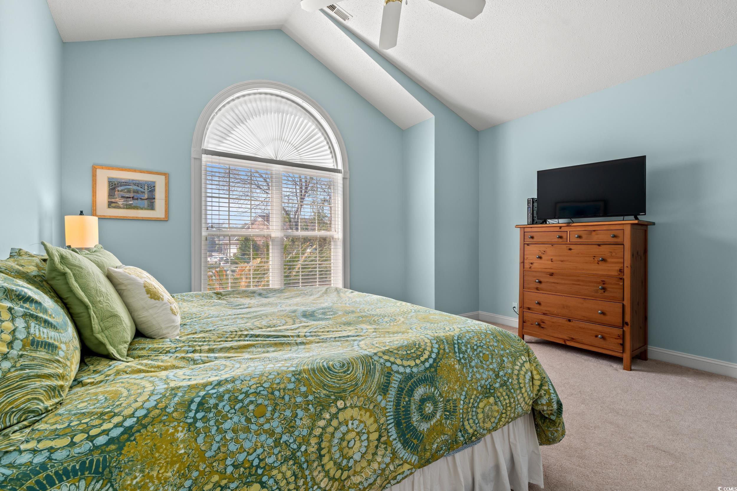 30 Baldwin Loop Pawleys Island, SC 29585 - Photo 28 of 39 Bedroom featuring vaulted ceiling, ceiling fan, ca