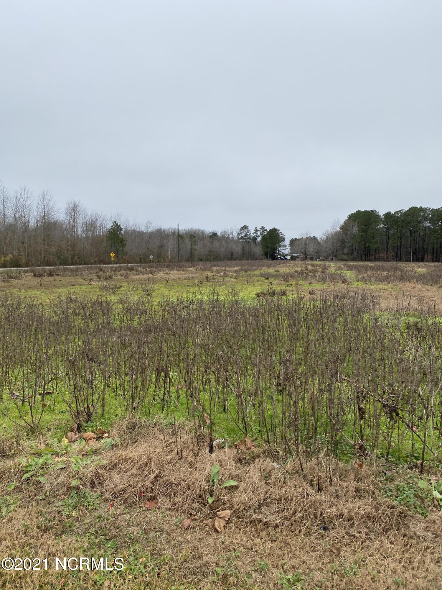 3761 Jones White Road Roper, NC 27970 - Photo 8 of 38 6533E551-4033-4396-BB9A-B470A7E21071