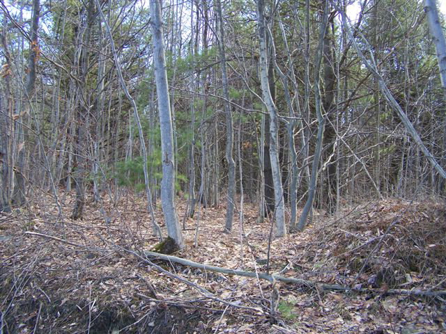 2 Diven Road Corning, NY 14830 - Photo 1 of 1 Gallery Image 1
