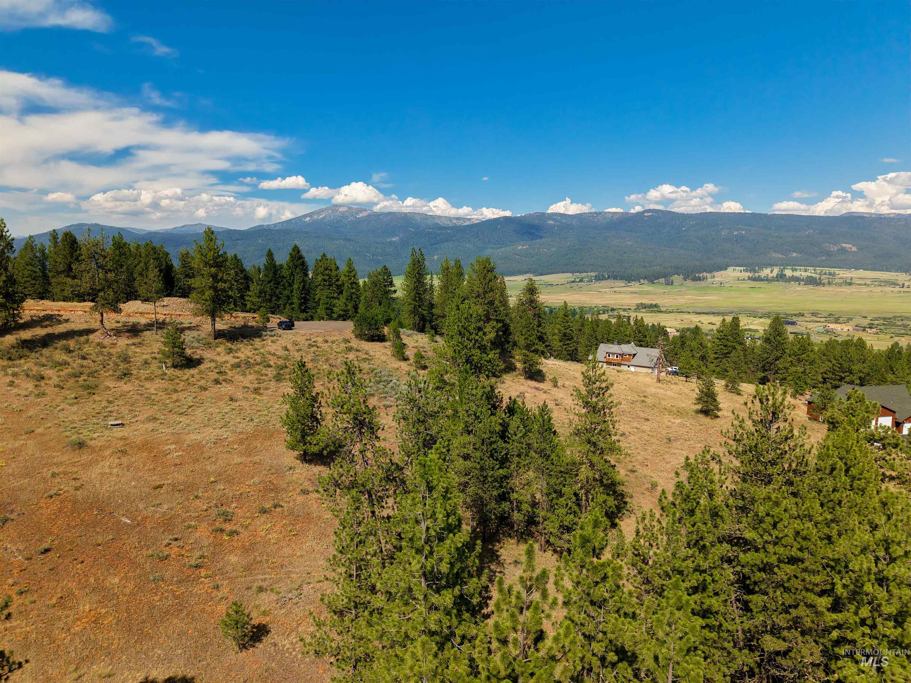 Tbd Tbd Eagle Feather Road New Meadows, ID 83654 - Photo 8 of 21 Gallery Image 8