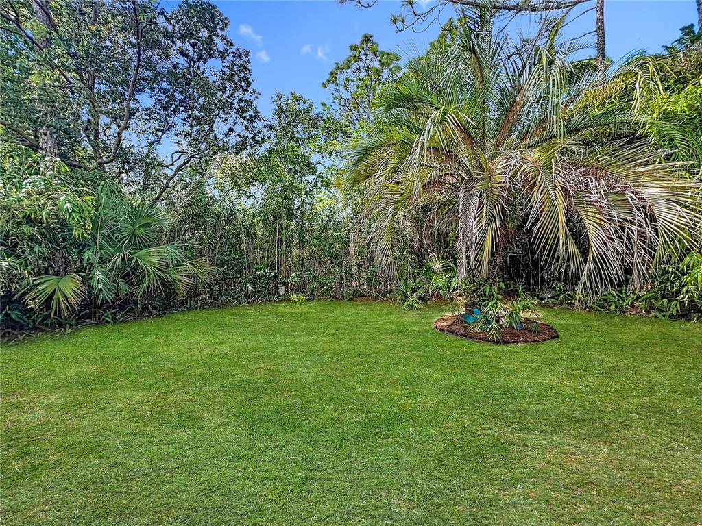 17 Sweetbay Court Homosassa, FL 34446 - Photo 52 of 61 a view of a garden with a tree
