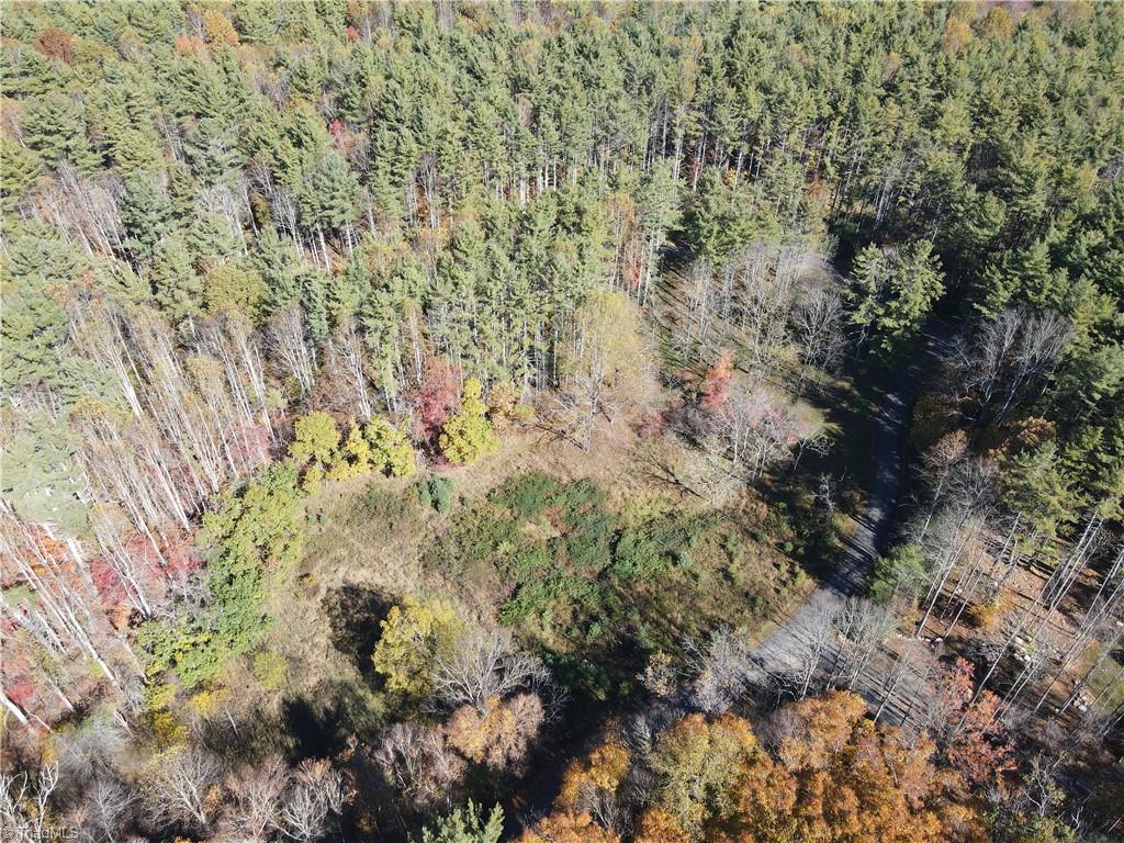 Tbd Tbd Jake Blackburn Road Lansing, NC 28643 - Photo 12 of 21