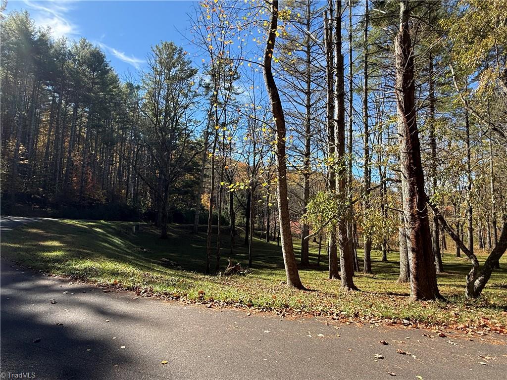 Tbd Tbd Jake Blackburn Road Lansing, NC 28643 - Photo 14 of 21