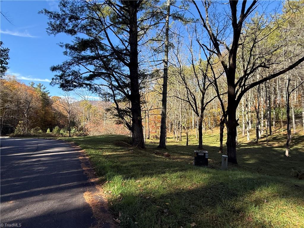 Tbd Tbd Jake Blackburn Road Lansing, NC 28643 - Photo 15 of 21